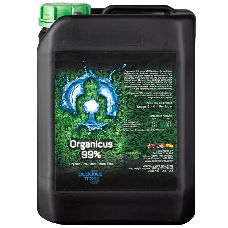 Buddhas Tree Organicus