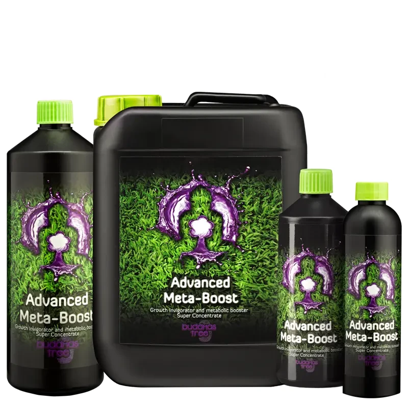 Buddhas Tree Advanced Meta Boost