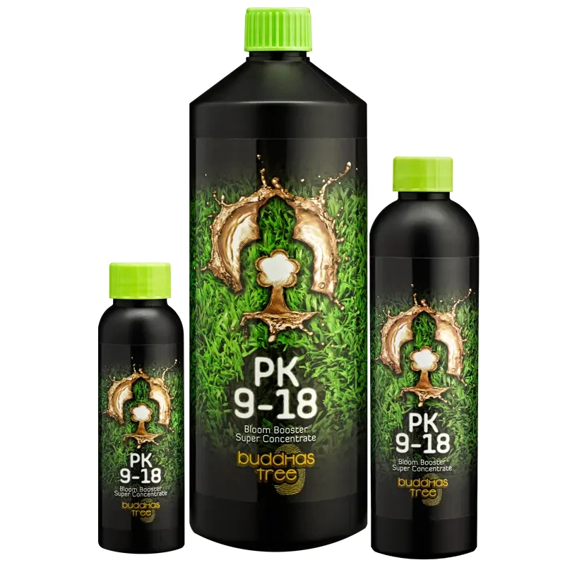 Buddhas Tree PK 9-18