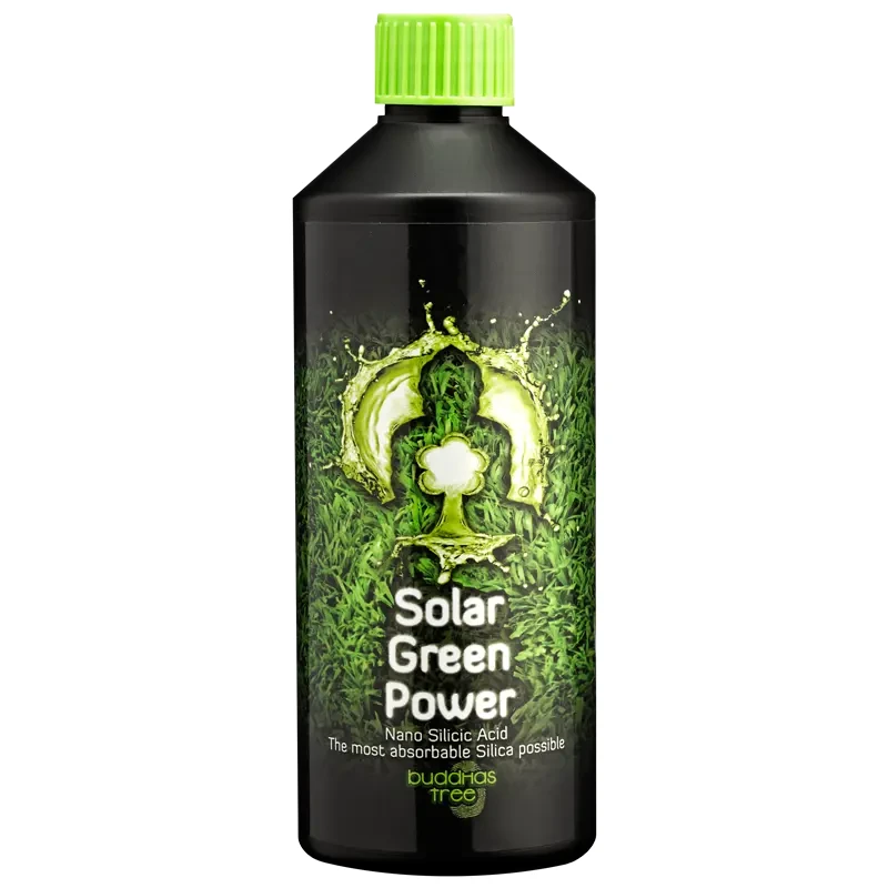 Buddhas Tree Solar Green Power