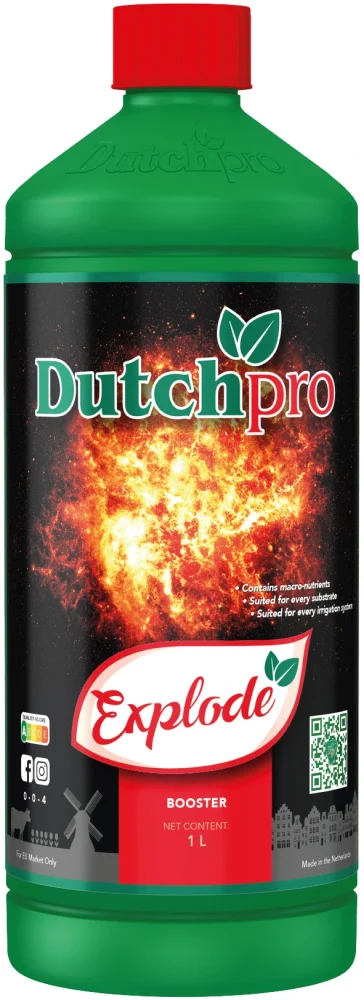 Dutch Pro Explode