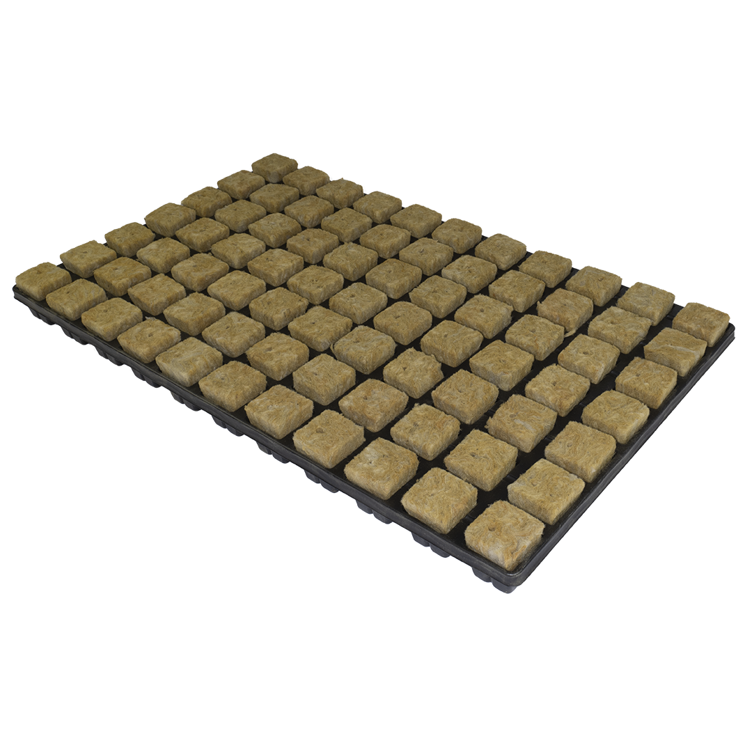 Cultiwool Rooting Plugs