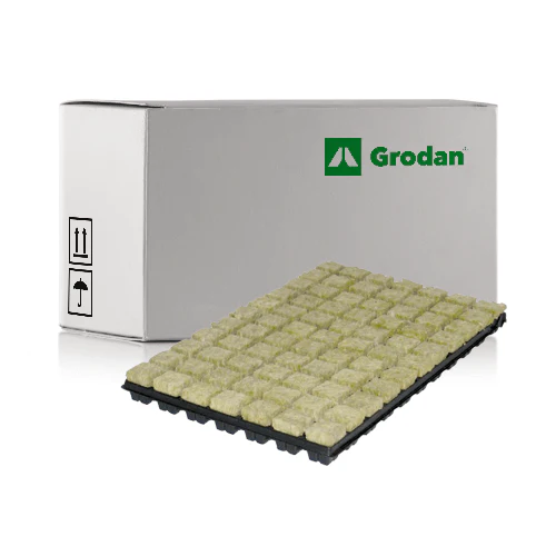 Grodan Rockwool Tray